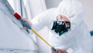 Best Pest Exclusion Services  in Woodburn, VA